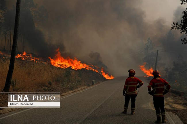 آتش سوزی گسترده در مناطق مرکزی پرتغال 
