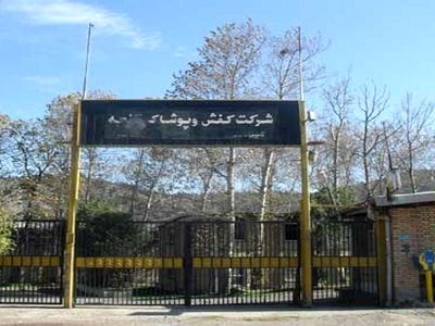برند قدیمی«کفش وچرم گنجه» احیا شود