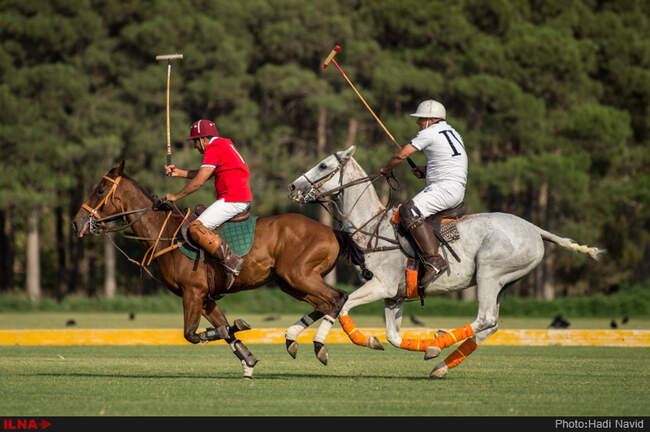 _D4S9703
