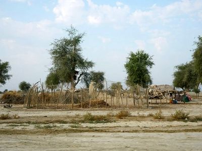  قاچاق خاک در سیستان و بلوچستان صحت ندارد 