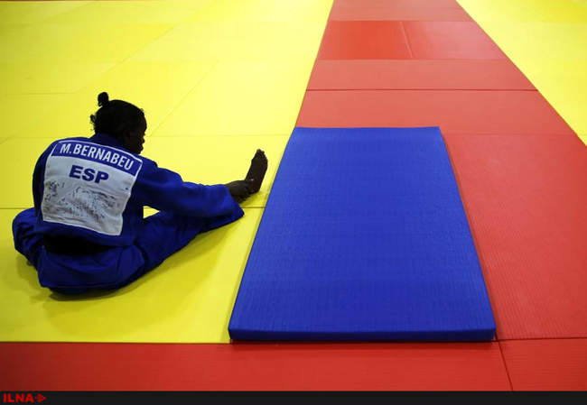 شمارش معکوس برای ریو