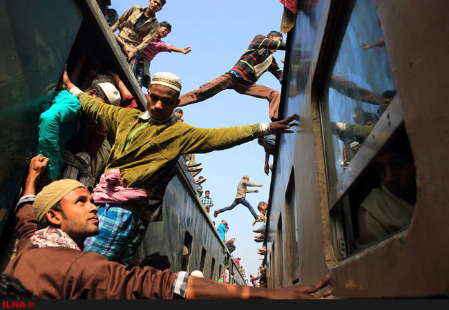  برندگان جایزه عکاسی 