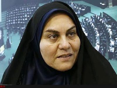 پیشنهاد غیرکارشناسی بطحایی درمورد آموزش زبان روسی در مدارس ایران به صلاح نیست