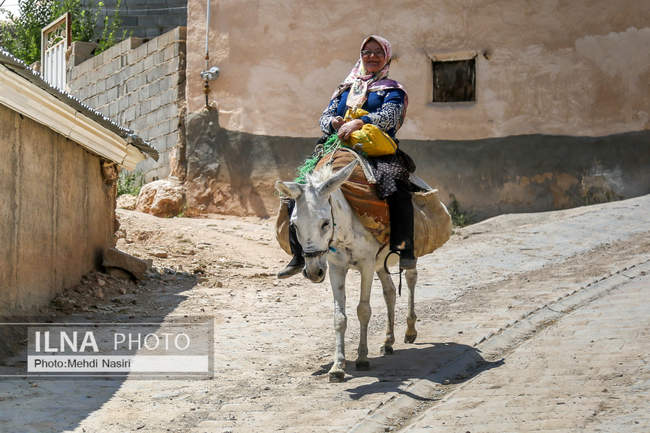  مادران عیدتان مبارک
