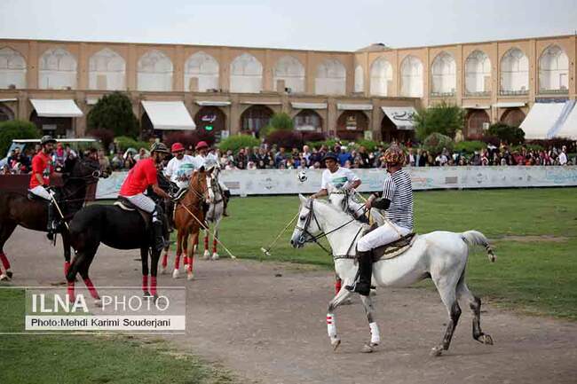 IMG_5048 copy