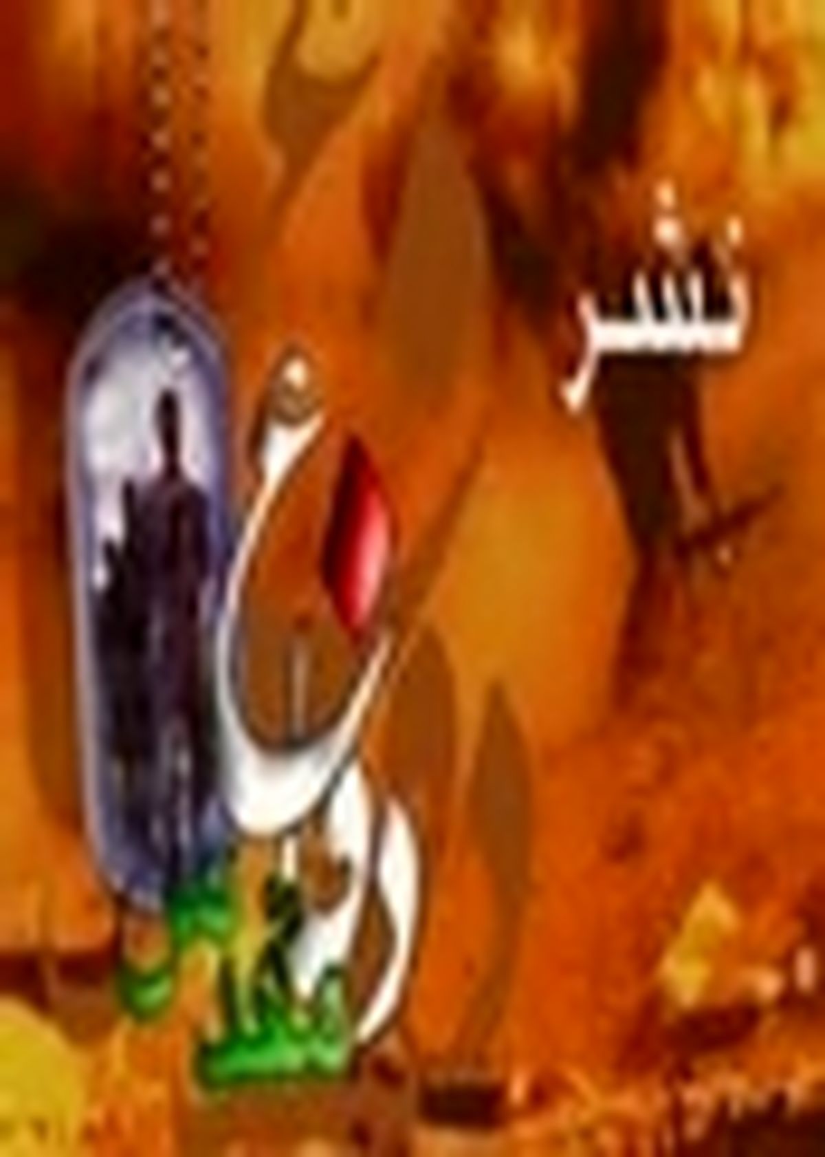 یادواره سردار شهید میررضی در کرج برگزار شد