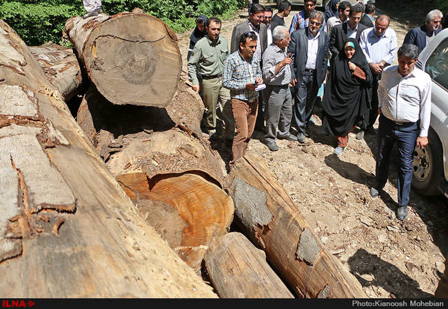 سفر معصومه ابتکار به استان مازندران