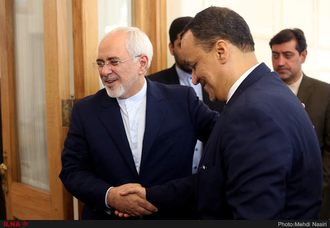  دیدار نماینده ویژه دبیرکل سازمان ملل متحد با محمد جواد ظریف