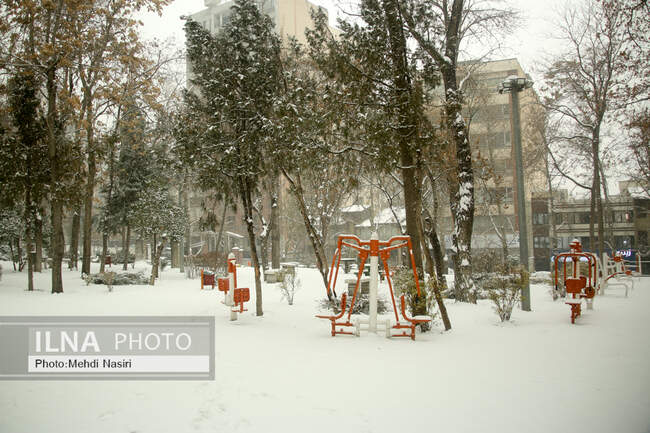 بارش برف در تهران