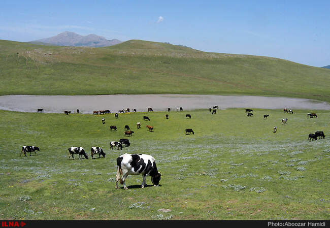 طبیعت بهاری دیلمان استان گیلان