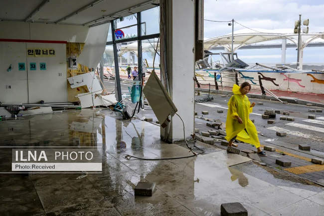 طوفان هینامنور در کره جنوبی 