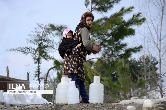 خسارات ناشی از بارش برف در گیلان