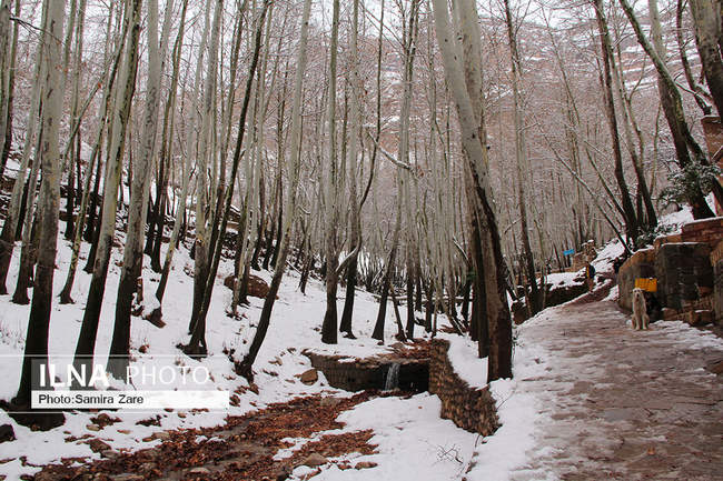 طبیعت برفی روستای قلات
