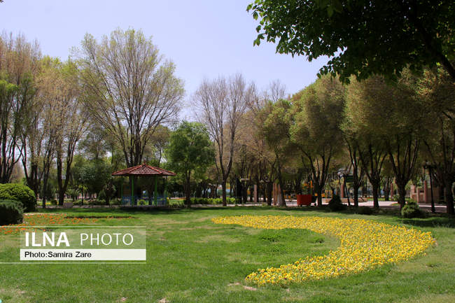 مردم شیراز با ماندن در خانه اتفاقی زیباتر از روز طبیعت را رقم زدند
