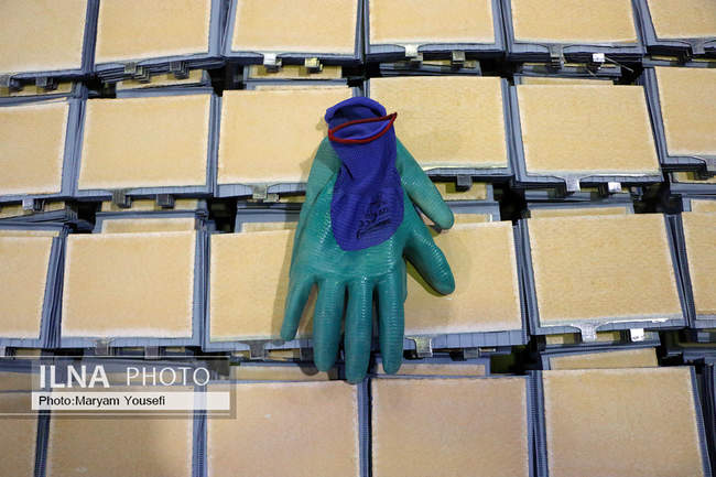 بازدید خبرنگاران از پنج پروژه مشارکتی بانک توسعه تعاون در آذربایجان 