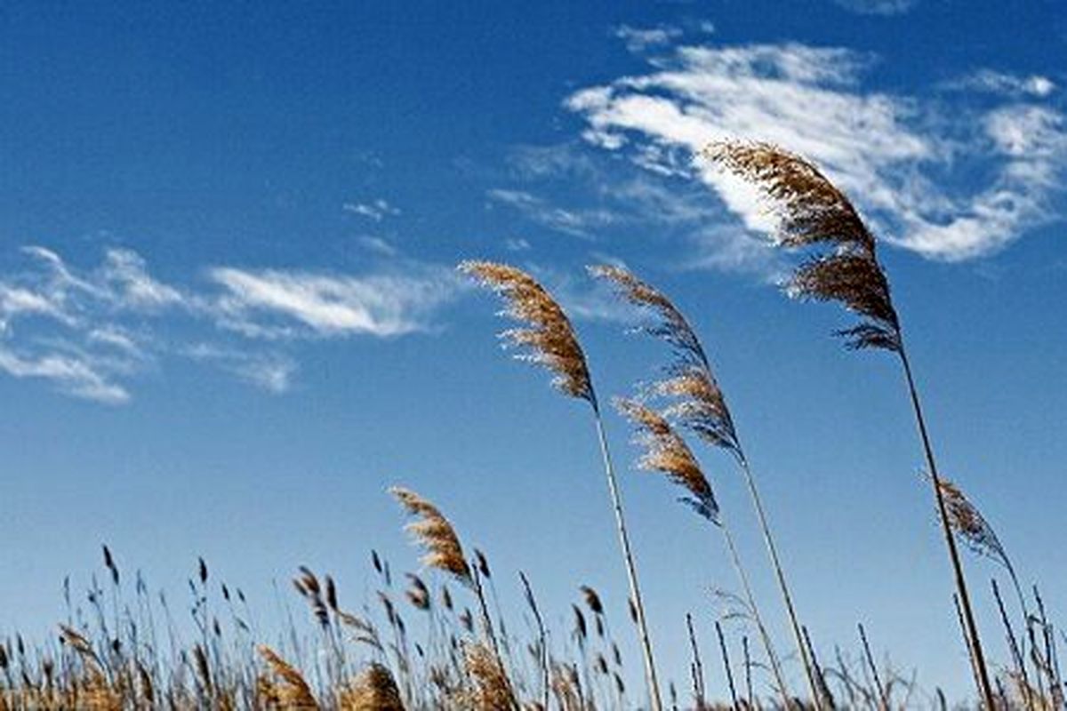 وزش باد گرم از امروز تا پایان هفته در گیلان
