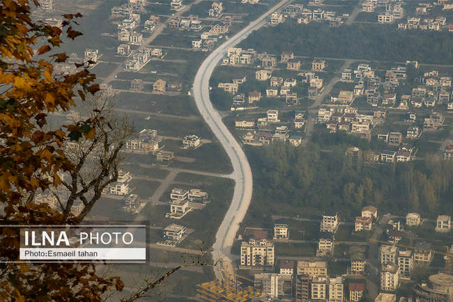 چشم انداز جنگل و دریا در قاب طبیعت