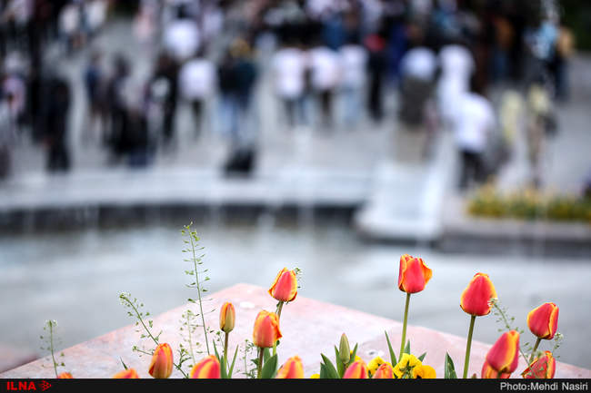 گلهای بهاری