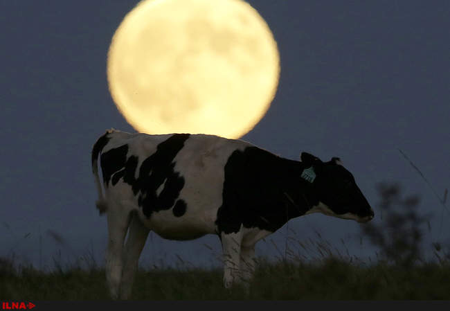 ماه گرفتگی منحصر به فرد در سرتاسر جهان