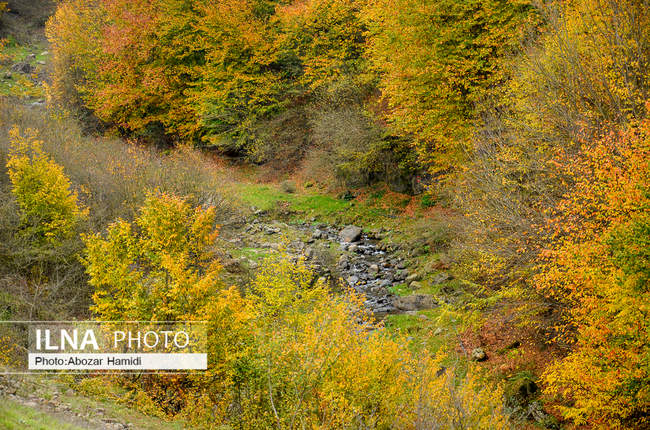 طبیعت پاییزی روستای داماش