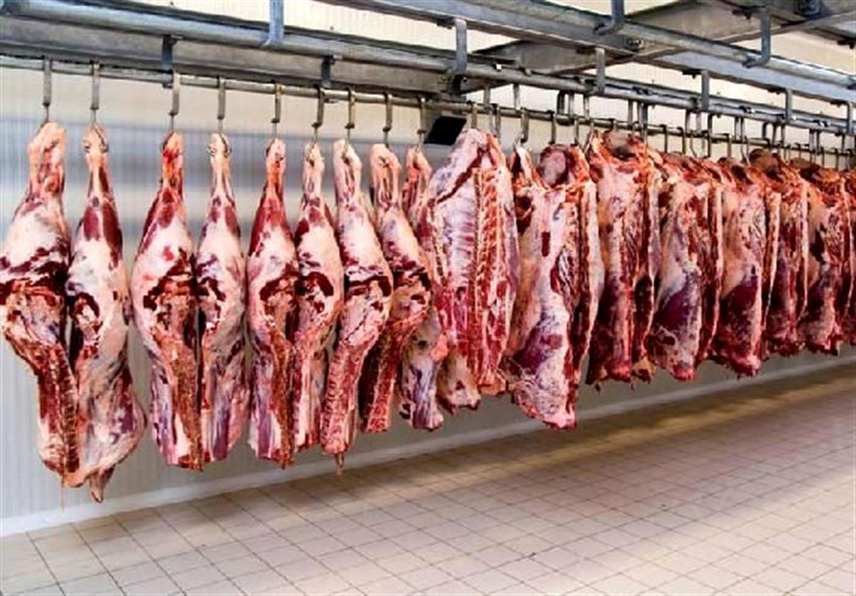 بیماری تب کریمه کنگو در کمین شهروندان/ گوشت را از مراکز مجاز دامپزشکی خریداری کنید