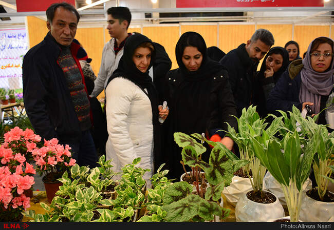 نمایشگاه گل و گیاه در استان قزوین