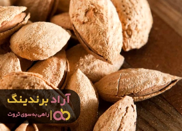
به روشی باورنکردنی درآمدتان را چند برابر کنید