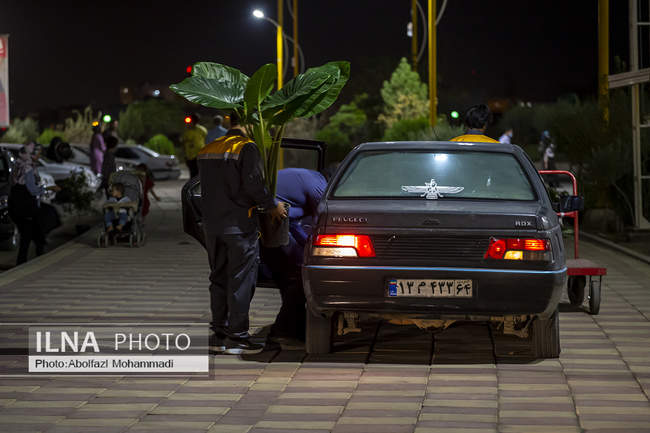 هشتمین نمایشگاه سراسری گل و گیاه در یزد