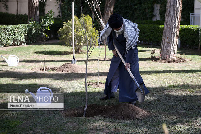 کاشت دو نهال میوه در روز درختکاری توسط مقام معظم رهبری