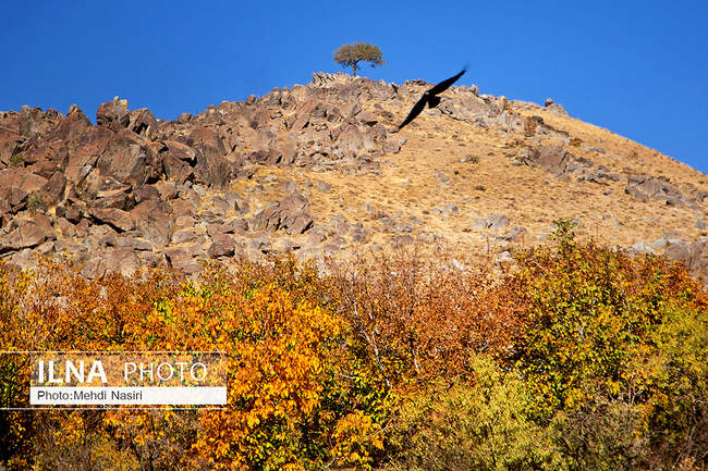  طبیعت پاییزی روستای سرسختی علیا
