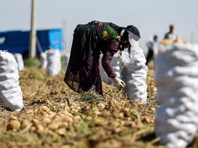 عدم آشنایی به قوانین بانکی مهمترین مشکل طرح‌های اشتغال روستایی نیمه تمام