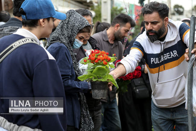 استقبال از نوروز 1405 در جنگ و امید